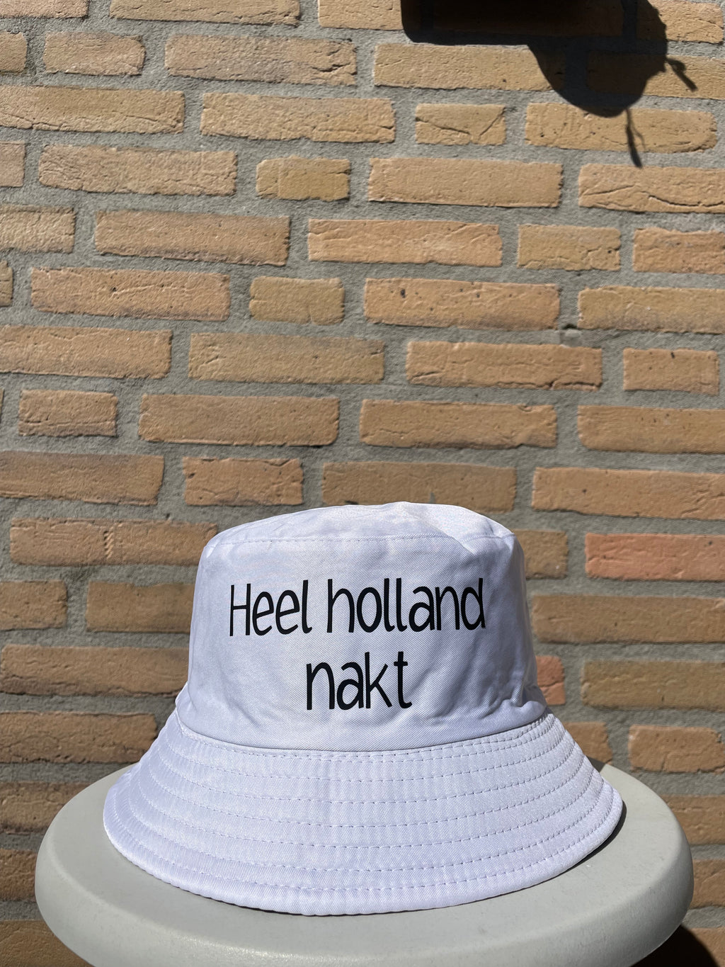 “heel holland nakt.”